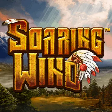 Soaring Wind